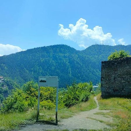 Guest House Gogias Cixe Borjomi Exterior foto