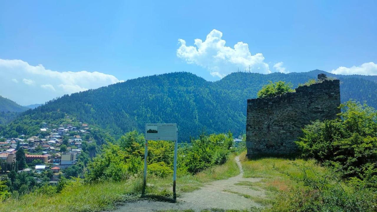 Guest House Gogias Cixe Borjomi Exterior foto