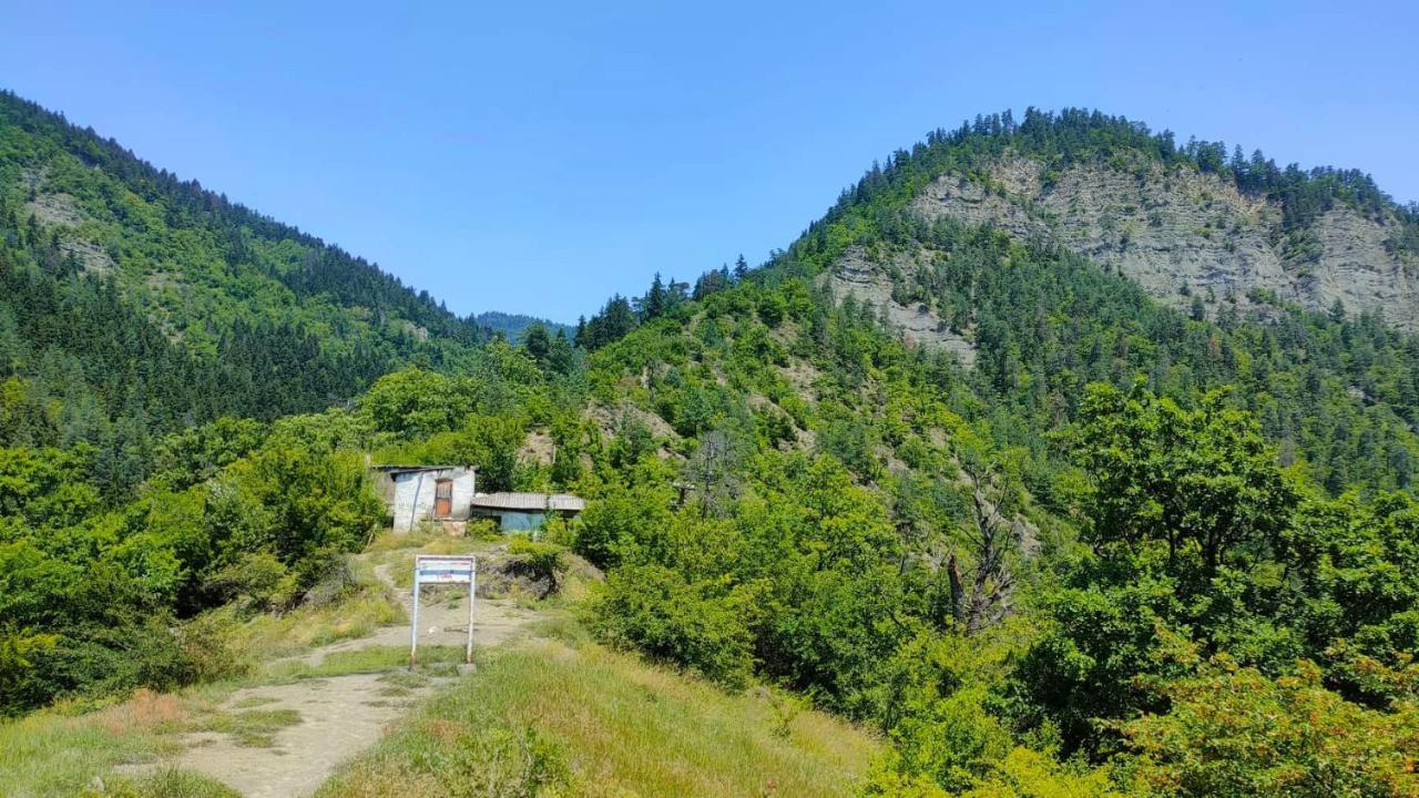 Guest House Gogias Cixe Borjomi Exterior foto